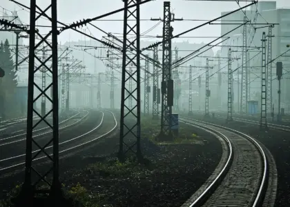 Kan jeg bruge en håndstålbørste til at børste mit hår extensions?